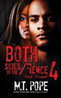 Enlarge image Cover: Both Sides of the Fence 4 - Urban Renaissance