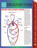 Cover: Circulatory System (Speedy Study Guides) - Dot EDU