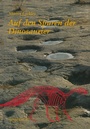 Cover: Auf den Spuren der Dinosaurier - Birkhäuser