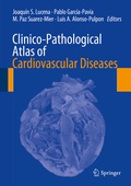 Bild: Clinico-Pathological Atlas of Cardiovascular Diseases - Springer