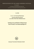 Cover: Synthese der gesch&uuml;tzten Teilsequenzen des B-Proteins vom Bacteriophagen fd - VS Verlag f&uuml;r Sozialwissenschaften