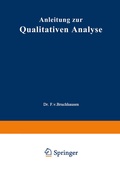 Cover: Anleitung zur Qualitativen Analyse - Springer