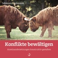 Cover: Konflikte bew&auml;ltigen - Down to Earth
