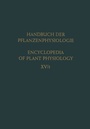 Cover: Differentiation and Development / Differenzierung und Entwicklung - Springer