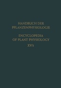 Cover: Differentiation and Development / Differenzierung und Entwicklung - Springer