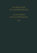 Cover: Plant Respiration Inclusive Fermentations and Acid Metabolism / Pflanzenatmung Einschliesslich G&auml;rungen und S&auml;urestoffwechsel - Springer