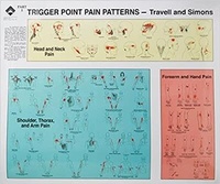 Abbildung von: Travell and Simons' Trigger Point Pain Patterns Wall Charts - Lippincott Williams and Wilkins