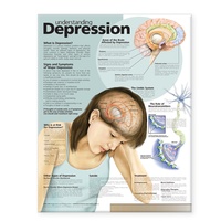 Enlarge image Cover: Understanding Depression Anatomical Chart - Lippincott Williams and Wilkins