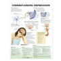 Cover: Understanding Depression Anatomical Chart - Anatomical Chart Co.