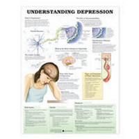 Enlarge image Cover: Understanding Depression Anatomical Chart - Anatomical Chart Co.