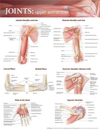 Abbildung von: Joints of the Upper Extremities Anatomical Chart - Lippincott Williams and Wilkins