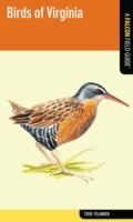 Cover: Birds of Virginia - Simon + Schuster LLC