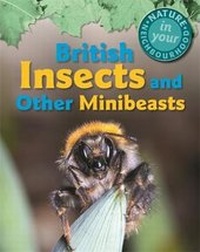 Enlarge image Cover: British Insects and other Minibeasts - Franklin Watts Ltd