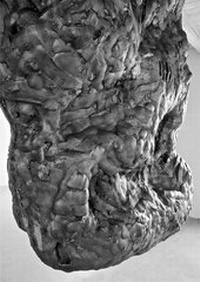 Enlarge image Cover: IN - edition fink