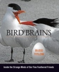 Abbildung von: Bird Brains - Lyons Press