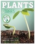 Cover: Plants and Trees - BookLife Publishing