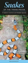 Cover: Snakes of the Trans-Pecos - Quick Reference Publishing, Inc