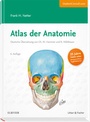 Bild: Atlas der Anatomie - Urban & Fischer