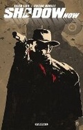 Cover: The Shadow Now - Dynamic Forces Inc