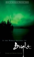 Cover: If the World Becomes So Bright - Wayne State University Press