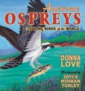 Cover: Awesome Osprey - Mountain Press