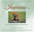 Cover: Inspirations: The Miracle of Baby Animals in Pictures and Scripture - Farcountry Press