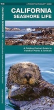 Cover: California Seashore Life - Waterford Press Ltd