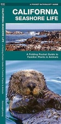 Enlarge image Cover: California Seashore Life - Waterford Press Ltd