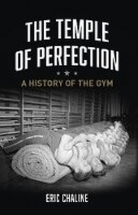 Abbildung von: The Temple of Perfection - Reaktion Books