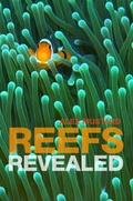 Cover: Reefs Revealed - Constable