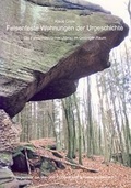 Cover: Felsenfeste Wohnungen der Urgeschichte - Isensee, Florian, GmbH