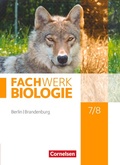 Cover: Fachwerk Biologie - Berlin/Brandenburg - 7./8. Schuljahr - Cornelsen Verlag