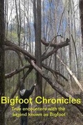 Cover: Bigfoot Chronicles - Southern Moon Publishing