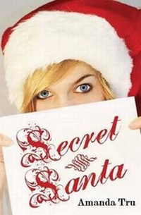 Enlarge image Cover: Secret Santa - Walker Hammond Publishers