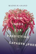 Cover: A New Index for Predicting Catastrophes - McClelland & Stewart Inc.