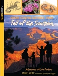Cover: Grand Canyon National Park: Tail of the Scorpion - Falcon Press Publishing