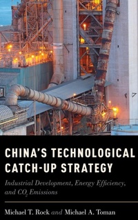 Enlarge image Cover: China's Technological Catch-Up Strategy - Oxford University Press Inc