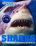 Cover: Sharks - PARRAGON