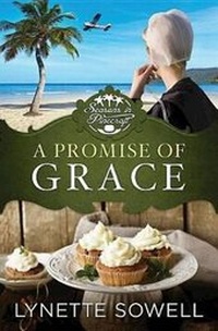 Enlarge image Cover: A Promise of Grace - Abingdon Press