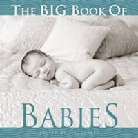 Enlarge image Cover: The Big Book of Babies - Welcome Books