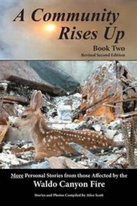Enlarge image Cover: A Community Rises Up - Blue River Publishing, Inc.