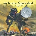 Cover: My Brother Sam Is Dead - Blackstone Publishing