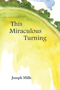Enlarge image Cover: This Miraculous Turning - Press 53