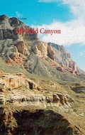 Cover: All Gold Canyon - BoD - Books on Demand