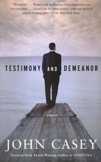 Enlarge image Cover: Testimony and Demeanor - Vintage