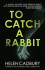 Cover: To Catch a Rabbit - Allison & Busby