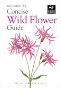 Abbildung von: Concise Wild Flower Guide - Bloomsbury Natural History