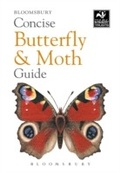 Cover: Concise Butterfly and Moth Guide - Bloomsbury Natural History