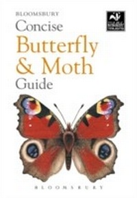 Abbildung von: Concise Butterfly and Moth Guide - Bloomsbury Natural History