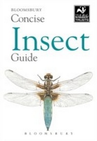 Bild vergrößern Bild: Concise Insect Guide - Bloomsbury Natural History
